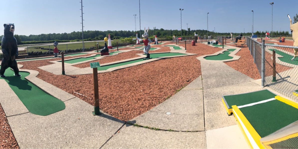 Wasaga 500 Go-Karts photo 8